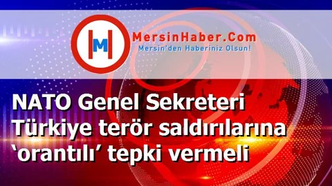 NATO Genel Sekreteri Türkiye terör saldırılarına ‘orantılı’ tepki vermeli