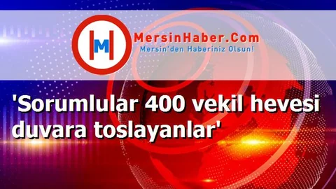 'Sorumlular 400 vekil hevesi duvara toslayanlar'