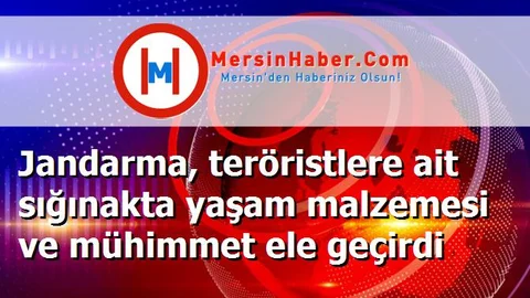 Jandarma, teröristlere ait sığınakta yaşam malzemesi ve mühimmet ele geçirdi