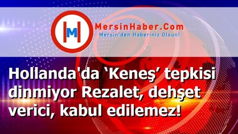 Hollanda'da ‘Keneş’ tepkisi dinmiyor Rezalet, dehşet verici, kabul edilemez!