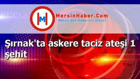 Şırnak'ta askere taciz ateşi 1 şehit