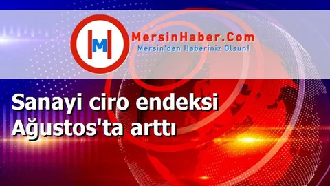 Sanayi ciro endeksi Ağustos'ta arttı