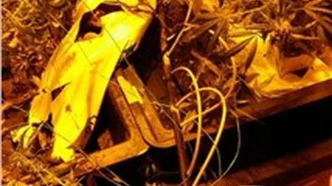 Uyuşturucuda yeni tehlike Scanc