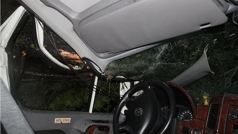 MHP’li adayları taşıyan aracın üzerine ağaç devrildi