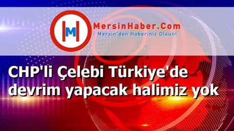 CHP'li Çelebi Türkiye'de devrim yapacak halimiz yok