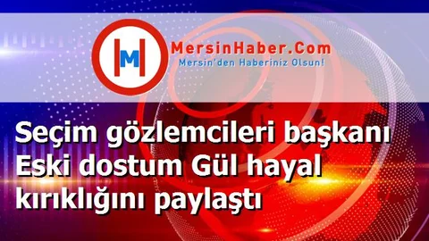 Seçim gözlemcileri başkanı Eski dostum Gül hayal kırıklığını paylaştı
