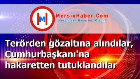 Terörden gözaltına alındılar, Cumhurbaşkanı'na hakaretten tutuklandılar