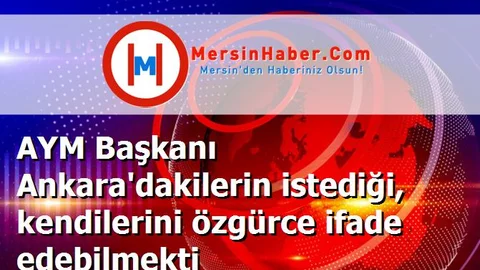AYM Başkanı Ankara'dakilerin istediği, kendilerini özgürce ifade edebilmekti