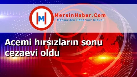 Acemi hırsızların sonu cezaevi oldu