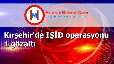 Kırşehir'de IŞİD operasyonu 1 gözaltı
