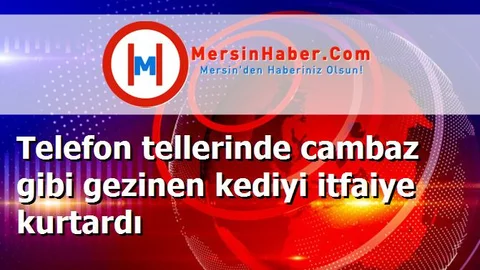 Telefon tellerinde cambaz gibi gezinen kediyi itfaiye kurtardı