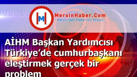 AİHM Başkan Yardımcısı Türkiye’de cumhurbaşkanı eleştirmek gerçek bir problem