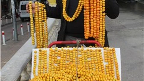 Kışın habercisi alıç meyvesi, satışa çıktı