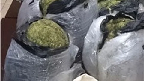 Adana’da 79 kilo esrar ele geçirildi