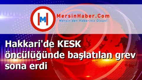Hakkari'de KESK öncülüğünde başlatılan grev sona erdi