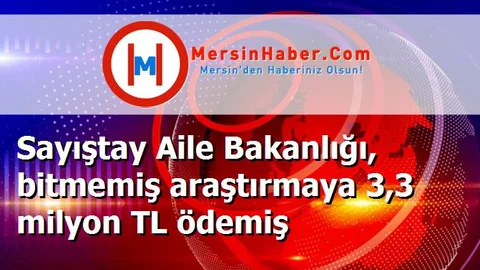 Sayıştay Aile Bakanlığı, bitmemiş araştırmaya 3,3 milyon TL ödemiş