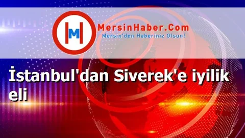 İstanbul'dan Siverek'e iyilik eli