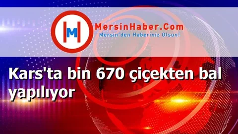 Kars'ta bin 670 çiçekten bal yapılıyor