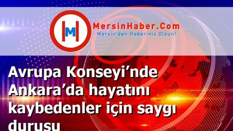 Avrupa Konseyi’nde Ankara’da hayatını kaybedenler için saygı duruşu