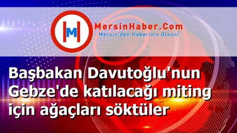 Başbakan Davutoğlu'nun Gebze'de katılacağı miting için ağaçları söktüler