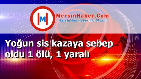 Yoğun sis kazaya sebep oldu 1 ölü, 1 yaralı