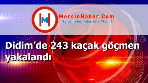 Didim’de 243 kaçak göçmen yakalandı
