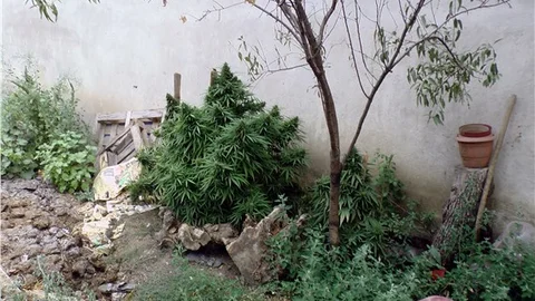 Mudanya’da uyuşturucu operasyonuna 1 tutuklama