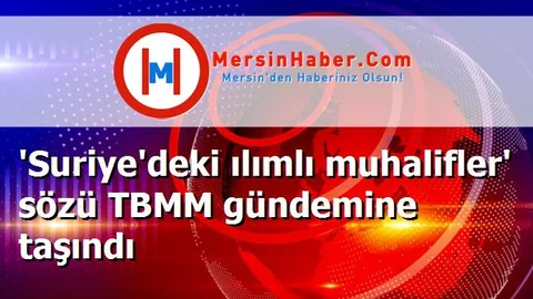 'Suriye'deki ılımlı muhalifler' sözü TBMM gündemine taşındı