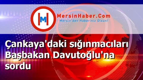Çankaya'daki sığınmacıları Başbakan Davutoğlu'na sordu