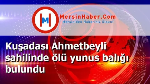 Kuşadası Ahmetbeyli sahilinde ölü yunus balığı bulundu