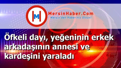 Öfkeli dayı, yeğeninin erkek arkadaşının annesi ve kardeşini yaraladı