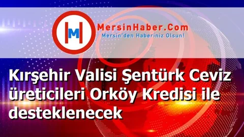 Kırşehir Valisi Şentürk Ceviz üreticileri Orköy Kredisi ile desteklenecek
