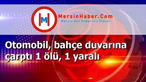 Otomobil, bahçe duvarına çarptı 1 ölü, 1 yaralı