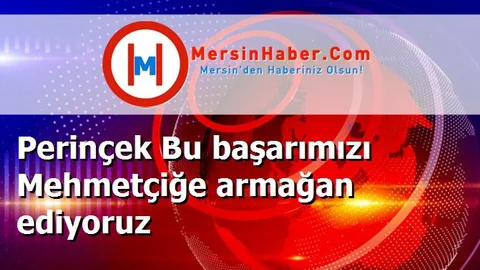 Perinçek Bu başarımızı Mehmetçiğe armağan ediyoruz
