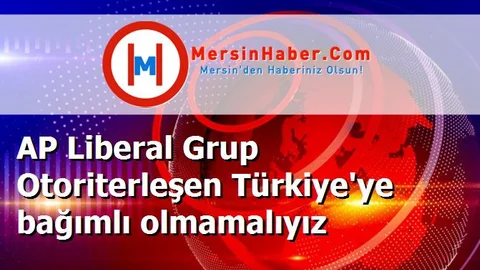 AP Liberal Grup Otoriterleşen Türkiye'ye bağımlı olmamalıyız
