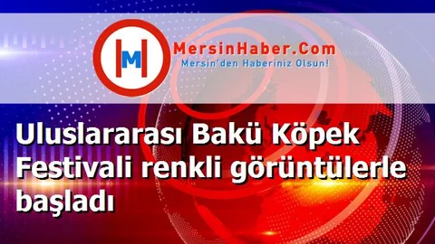 Uluslararası Bakü Köpek Festivali renkli görüntülerle başladı