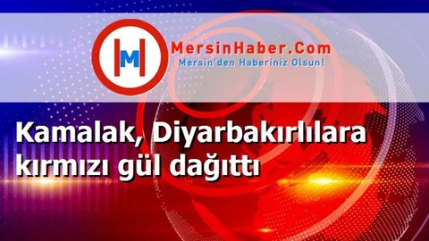 Kamalak, Diyarbakırlılara kırmızı gül dağıttı