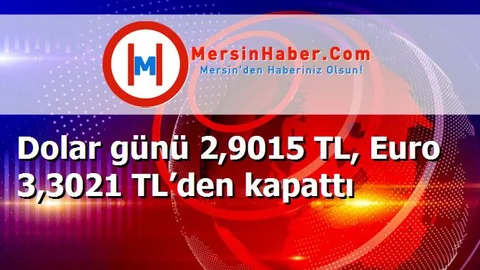 Dolar günü 2,9015 TL, Euro 3,3021 TL’den kapattı