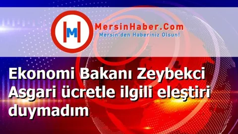 Ekonomi Bakanı Zeybekci Asgari ücretle ilgili eleştiri duymadım