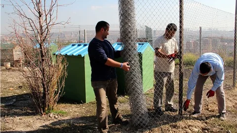 Çankaya'da sokak hayvanları için geçici bakım istasyonu
