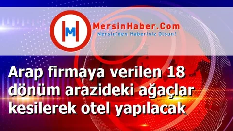 Arap firmaya verilen 18 dönüm arazideki ağaçlar kesilerek otel yapılacak