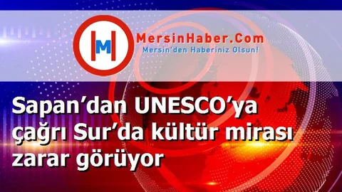 Sapan’dan UNESCO’ya çağrı Sur’da kültür mirası zarar görüyor
