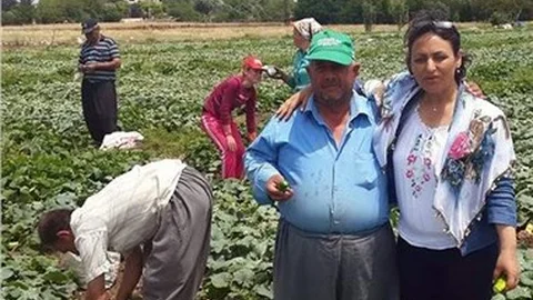 CHP adayı Şevkin Bizim iktidarımızda çiftçi kaostan kurtulacak
