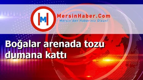 Boğalar arenada tozu dumana kattı