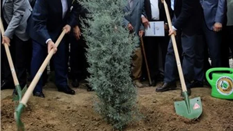 Bursa'da yanan ormanlık alana 110 bin fidan dikimine başlandı