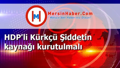 HDP'li Kürkçü Şiddetin kaynağı kurutulmalı