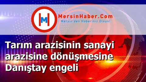 Tarım arazisinin sanayi arazisine dönüşmesine Danıştay engeli