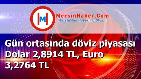 Gün ortasında döviz piyasası Dolar 2,8914 TL, Euro 3,2764 TL