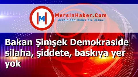 Bakan Şimşek Demokraside silaha, şiddete, baskıya yer yok