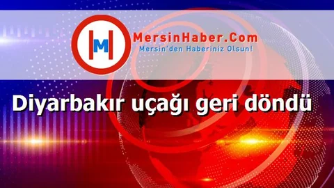 Diyarbakır uçağı geri döndü